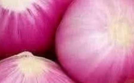 Onion Glow: The Japanese Skin Secret