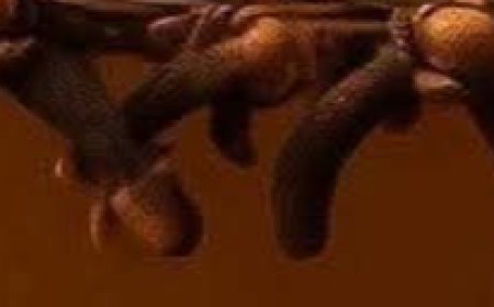 Clove Water: The Hidden Power in Your Kitchen