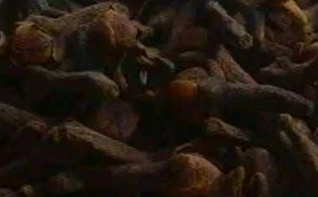 Flower Power: 8 Benefits of Cloves You Probably Didn’t Know About