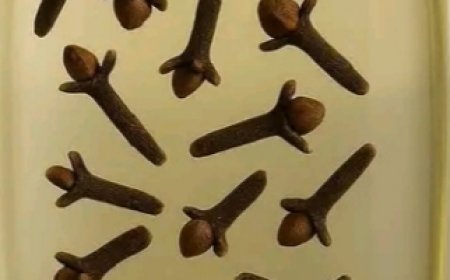 Add Cloves into Baby Oil and See What Happens – 11 Powerful Reasons to Use It Every Day