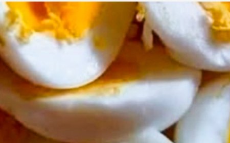 Doctors Reveal the Shocking Truth About Eggs — And It’s Not What You Think