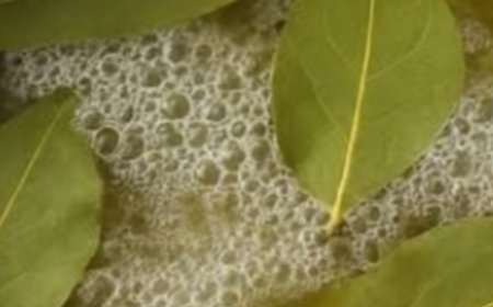 Mix Bay Leaf and Clove Together and You Will Thank Me for This Recipe!