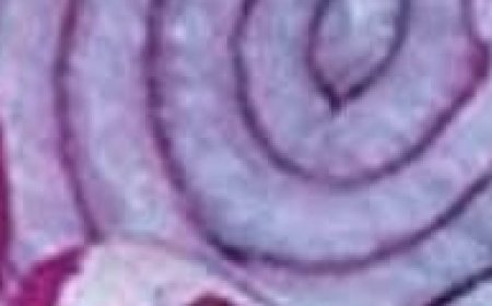 Cleanse Your Lungs Naturally: Stop Coughing in Just 3 Days with This Powerful Onion Remedy