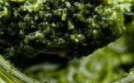 Unveiling the Green Marvel: The Top 10 Health Benefits of Common Mallow Leave