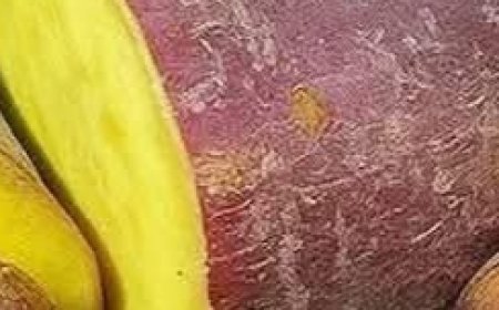 Science-Backed Health Benefits Of Sweet Potatoes (And How To Enjoy Them)