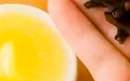 Mix Cloves with Vaseline: A Secret Nobody Will Ever Tell You