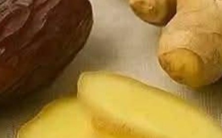 A Healthy Gut: The Foundation of Good Health