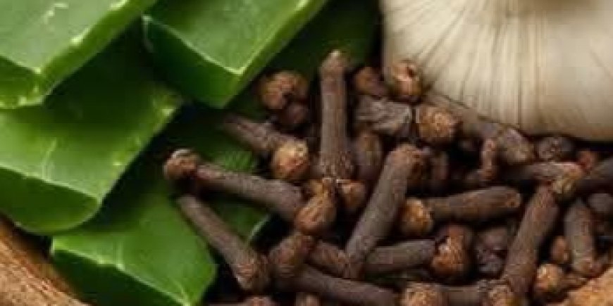 Aloe Vera, Cloves, and Garlic for Intestinal Health: Unlock the Power of Nature’s Gut-Healing Trio