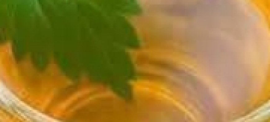 The Powerful Plant That May Support Cancer Treatment: A Closer Look at the Benefits of the Greater Burdock Root