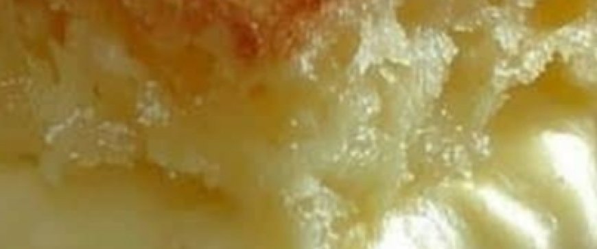 Vanilla Custard Cream Squares – A Timeless Dessert Delight