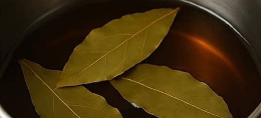 Bay Leaves for Gray Hair? Here’s What You Haven’t Heard Yet