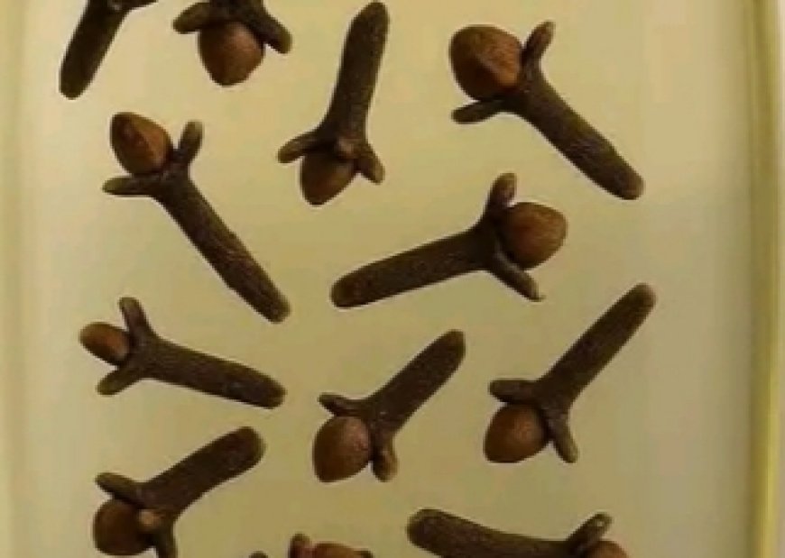 Add Cloves into Baby Oil and See What Happens – 11 Powerful Reasons to Use It Every Day