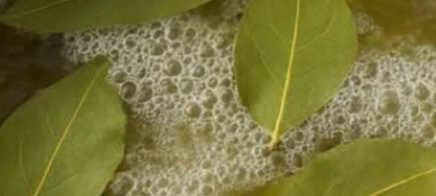 Mix Bay Leaf and Clove Together and You Will Thank Me for This Recipe!
