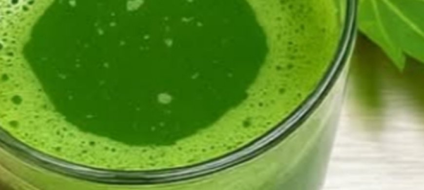 Papaya Leaves: Unlocking the Healing Power Hidden in Your Garden