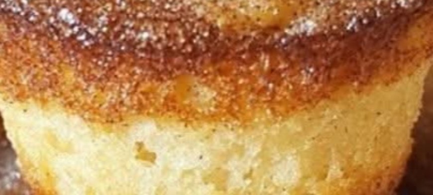 Cinnamon Sugar Donut Muffins
