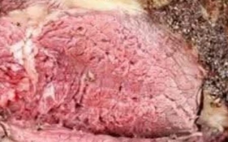 Pepper Parm Prime Rib