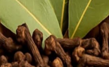 Renewed Knees – The Tea That Eliminates Knee And Joint Pain