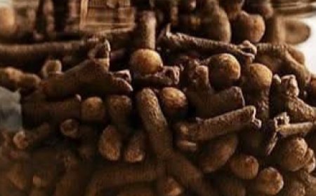 Clove Foot Soak for Relaxation and Wellness