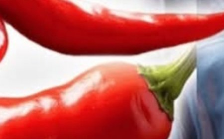 Cayenne Pepper Exposed: Dr. Barbara O’Neill Shares “Illegal-Sounding” Secrets for Total Body Healing