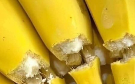 Bananas and Your Health: 14 Essential Facts You Need to Know
