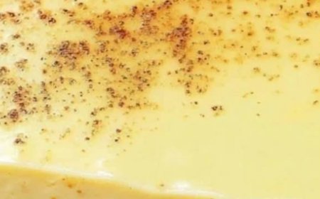 Old-Fashioned Custard Pie