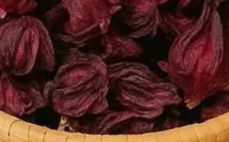 Discover the Ultimate Natural Drink to Transform Your Health