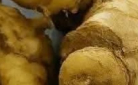 Drinking Ginger Water Before Bed: What Happens to Your Body? No Pharmacy Needed