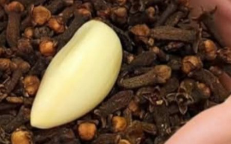 Say Goodbye to Joint Pain, Arthritis, and Rheumatism in Just 3 Days! Discover the Powerful Clove and Garlic Formula