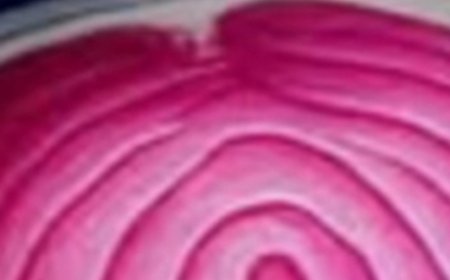 Onion Glow: The Japanese Skin Secret