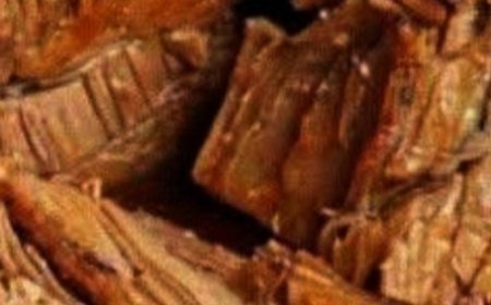 Envelope Roast!!!!!!