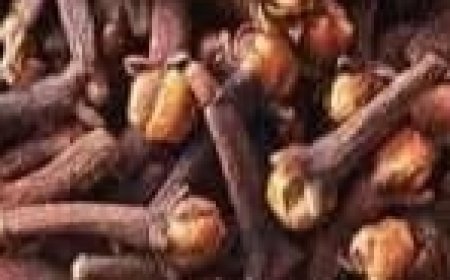 Discover the Impact of Consuming Two Cloves Daily After 50: The Benefits of Cloves