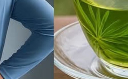 12 Amazing Health Benefits of the Stonebreaker Plant You Shouldn’t Miss