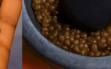 Unlocking the Hidden Potential of Papaya Seeds: A Nutritional Treasure