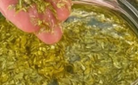 Get Thicker Healthier Hair The Secret to Thicker