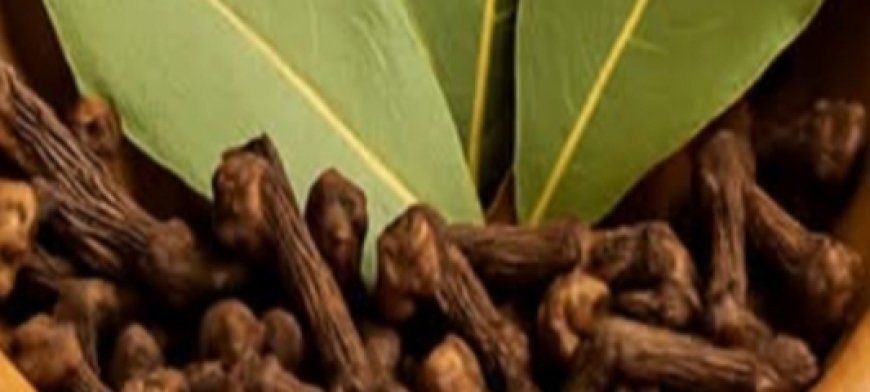 Renewed Knees – The Tea That Eliminates Knee And Joint Pain