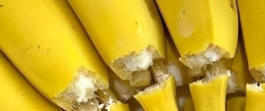 Bananas and Your Health: 14 Essential Facts You Need to Know