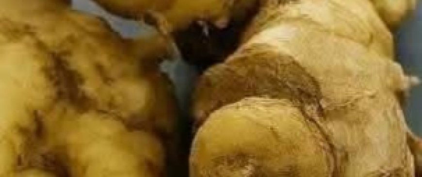 Drinking Ginger Water Before Bed: What Happens to Your Body? No Pharmacy Needed