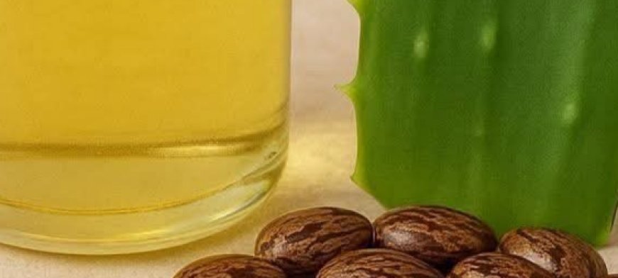 Castor Oil & Aloe Vera Hair/ Skin Recipe