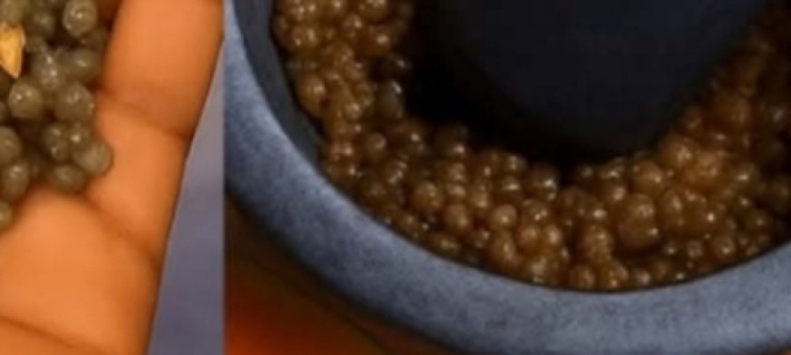 Unlocking the Hidden Potential of Papaya Seeds: A Nutritional Treasure