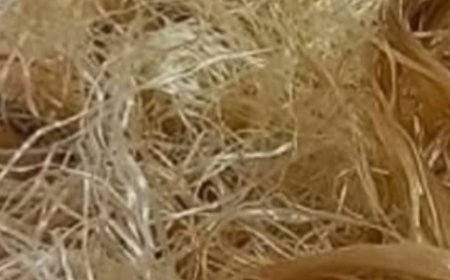 Corn Silk: 30 Impressive Health Benefits and How to Use It Naturally