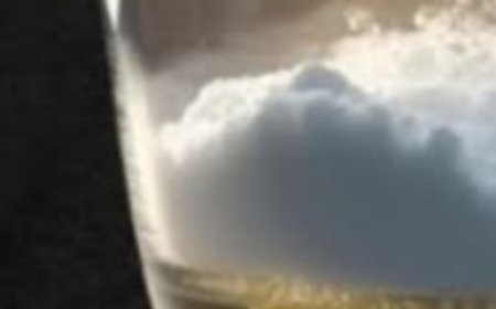 Castor Oil + Baking Soda: The Gentle Duo Your Wellness Routine May Be Missing