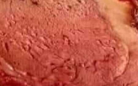 Pepper Parm Prime Rib