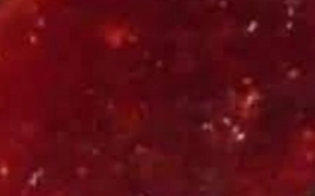 Christmas Jam Recipe A Festive Homemade Treat