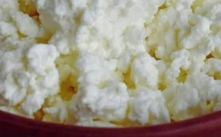 6 Reasons to Add Cottage Cheese to Your Diet