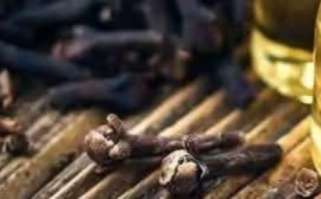 Mixing Garlic and Honey with Cloves: The Secret No One Will Ever Tell You