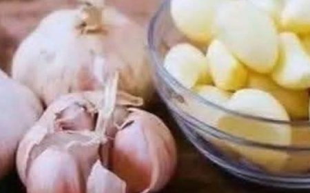 GARLIC KILLS 14 TYPES OF BACTERIA AND 13 TYPES OF INFECTIONS