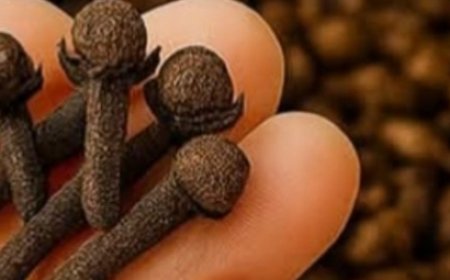 Cloves, ginger, and a Lipton tea bag combined are worth gold