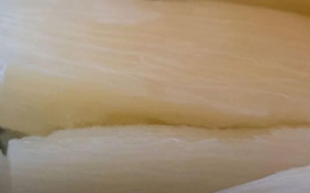 World’s Deadliest Food: Why People Still Eat Cassava