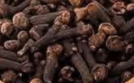 Chewing Cloves Daily: A Tiny Habit with Massive Health Benefits