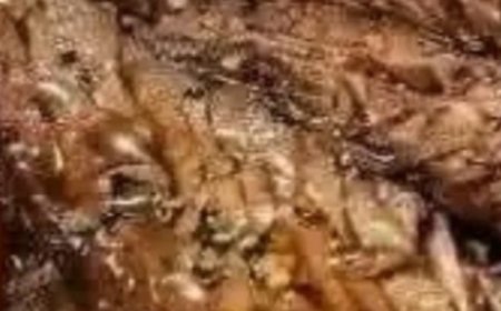 Slow-Cooked Pot Roast with Silky Gravy and Fluffy Mashed Potatoes